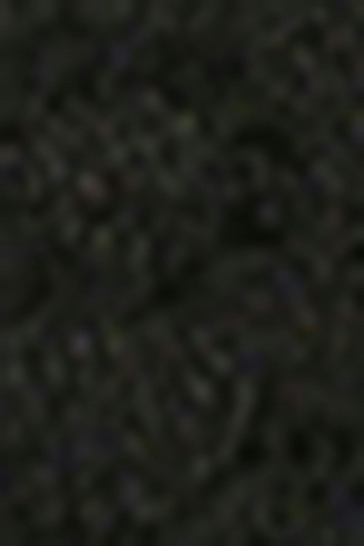 Nærbuxur, 2 í pakka