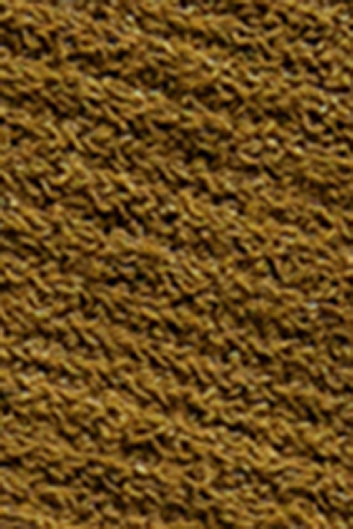 Belti