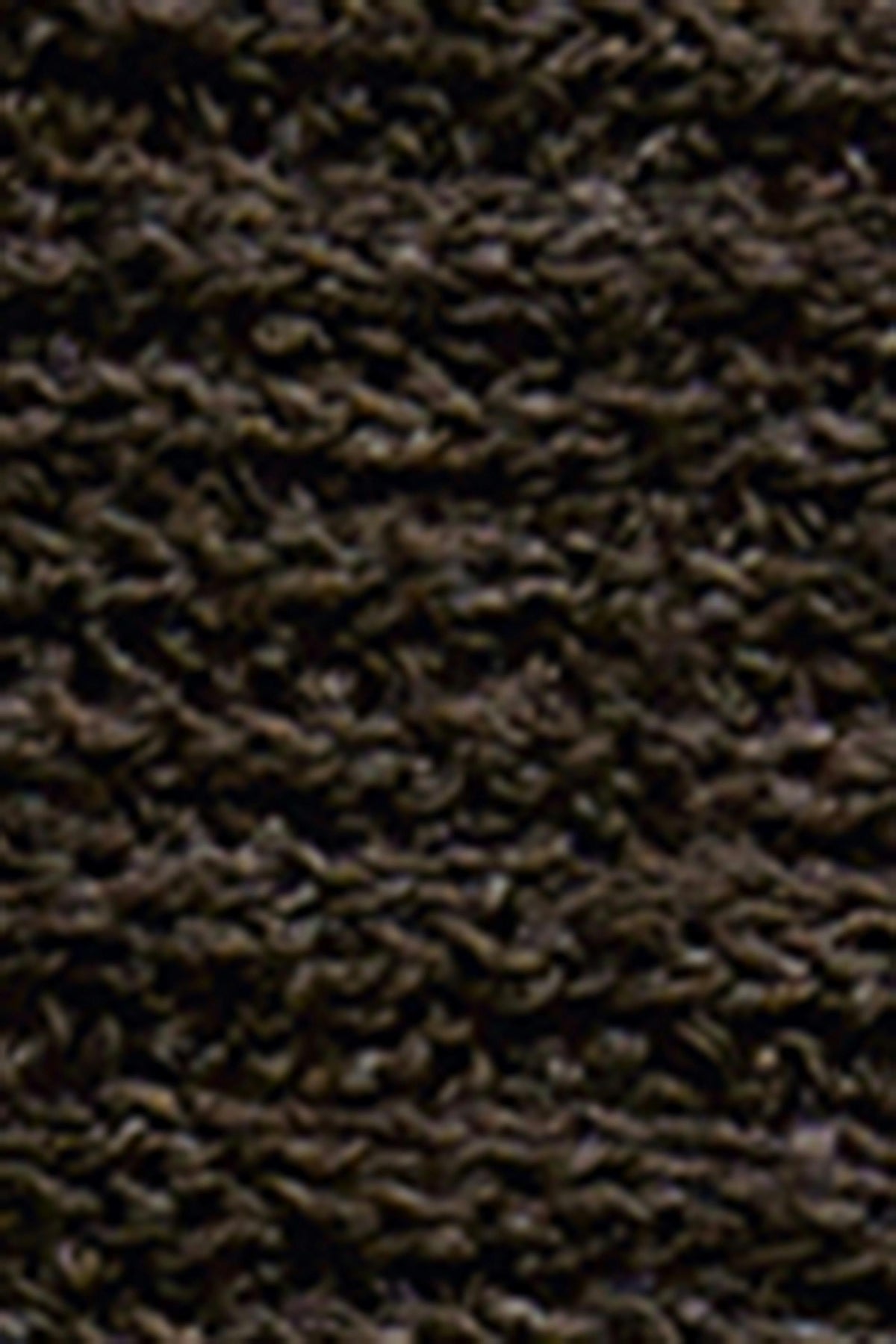 Belti