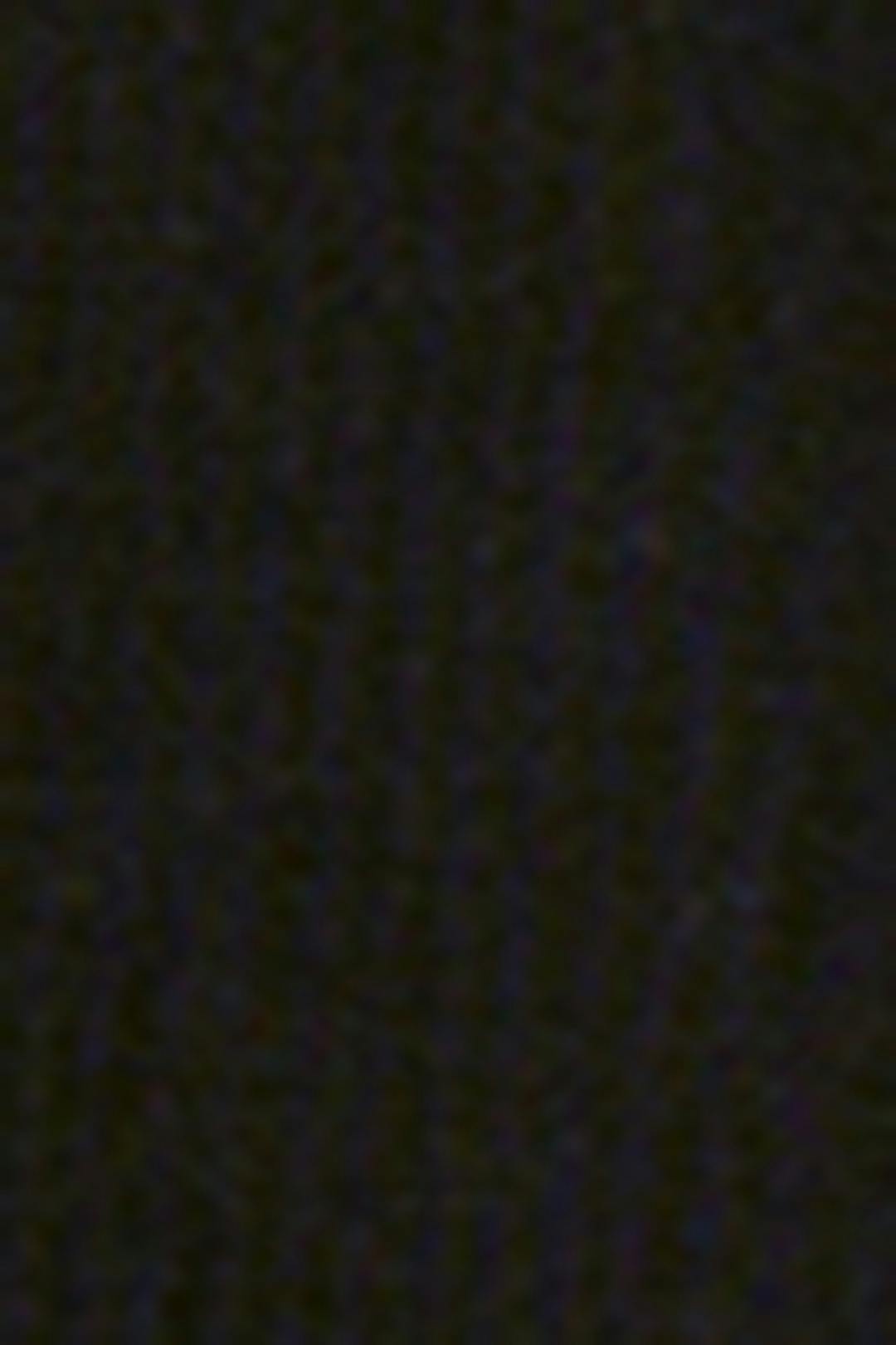 Stuttbuxur