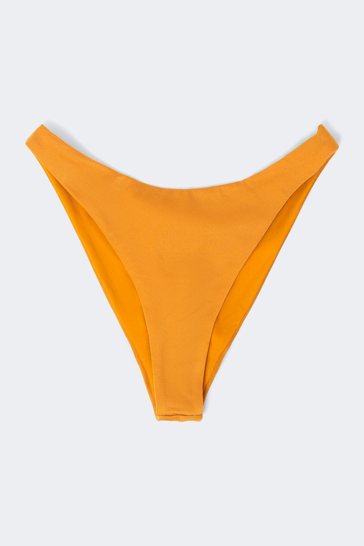 Bikini buxur