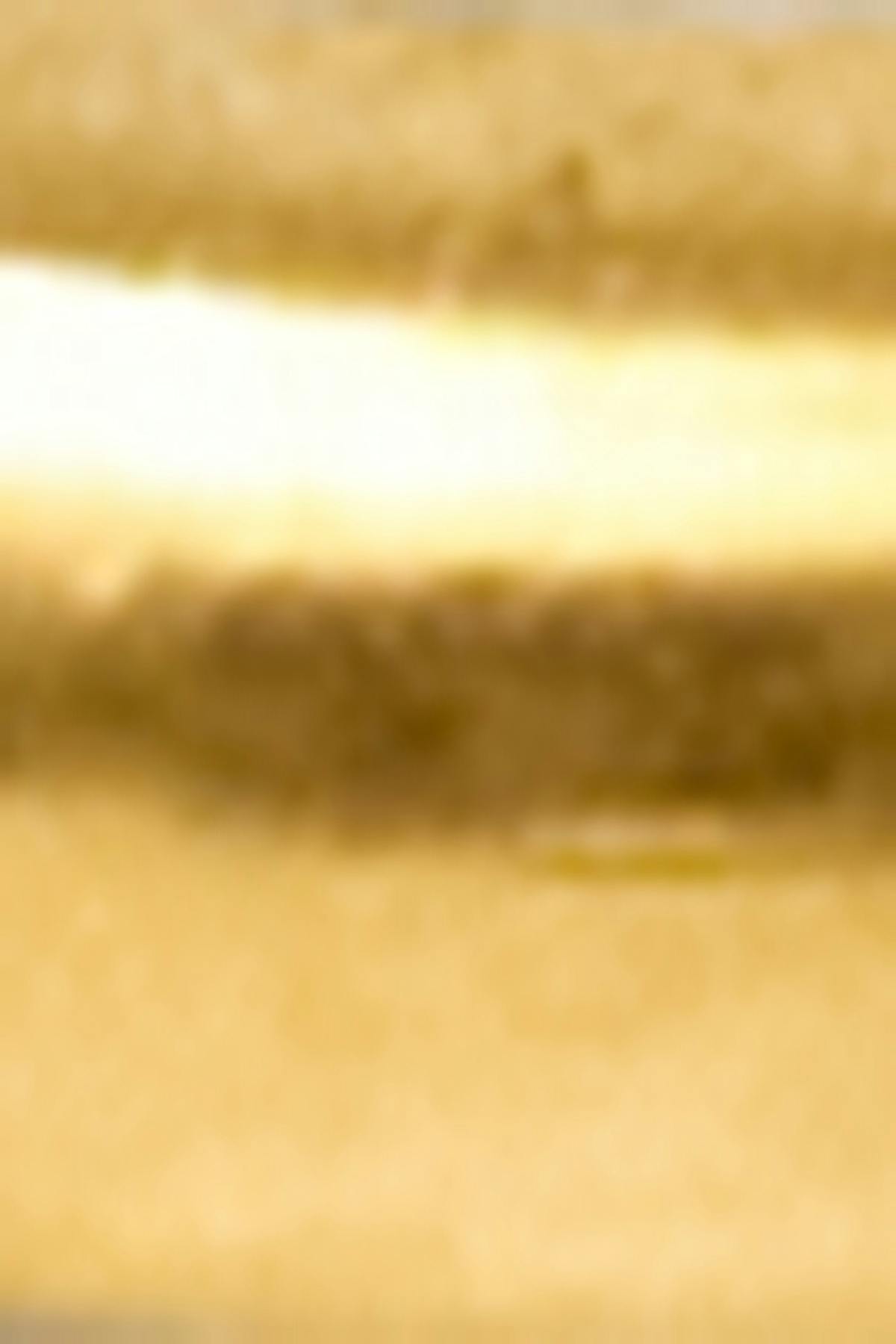 eyrnalokkar